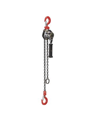 Mini Lever Hoist 250kg