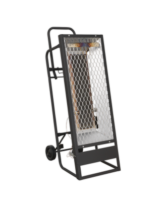 Chauffage au propane industriel Space Warmer® 35 000 Btu/h