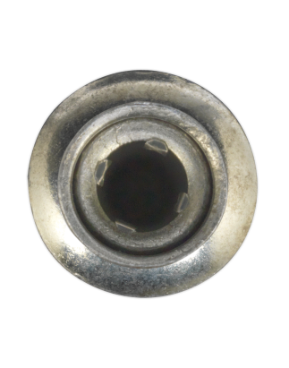 Rivet structurel en acier zingué Ø6,3 x 32 mm paquet de 100