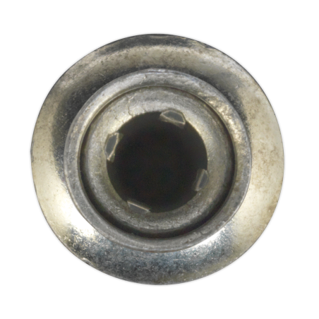 Rivet structurel en acier zingué Ø6,3 x 32 mm paquet de 100