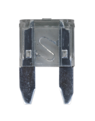 Automotive MINI Blade Fuse 2A Pack of 50