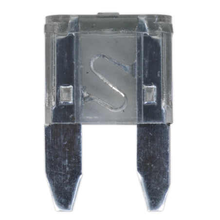 Automotive MINI Blade Fuse 2A Pack of 50