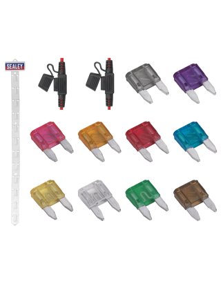 Clip Strip Deal - Automotive Mini Blade Fuses & Holders