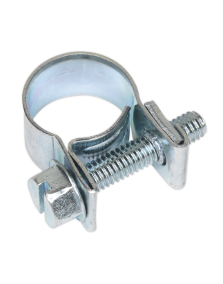 Mini Hose Clip Ø10-12mm Pack of 30