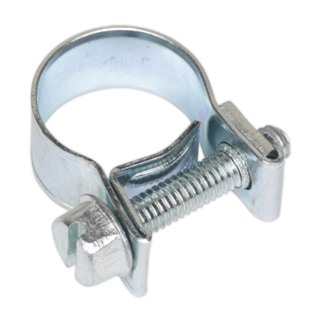 Mini Hose Clip Ø12-14mm Pack of 30