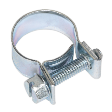 Mini Hose Clip Ø14-16mm Pack of 20