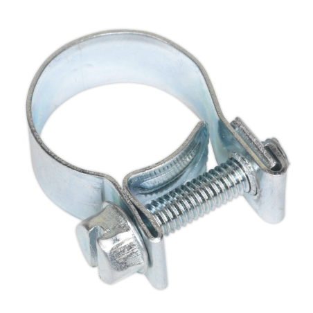 Mini Hose Clip Ø15-17mm Pack of 20