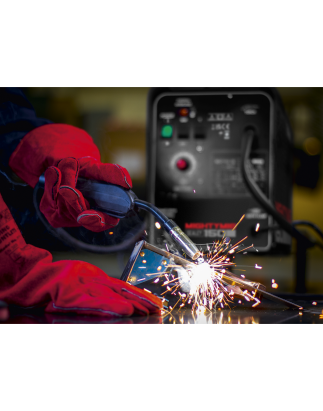 Professional Gas/Gasless MIG Welder 150A 230V