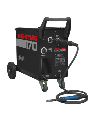 Professional Gas/Gasless MIG Welder with Euro Torch 170A