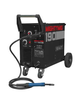 Professional Gas/Gasless MIG Welder with Euro Torch 190A