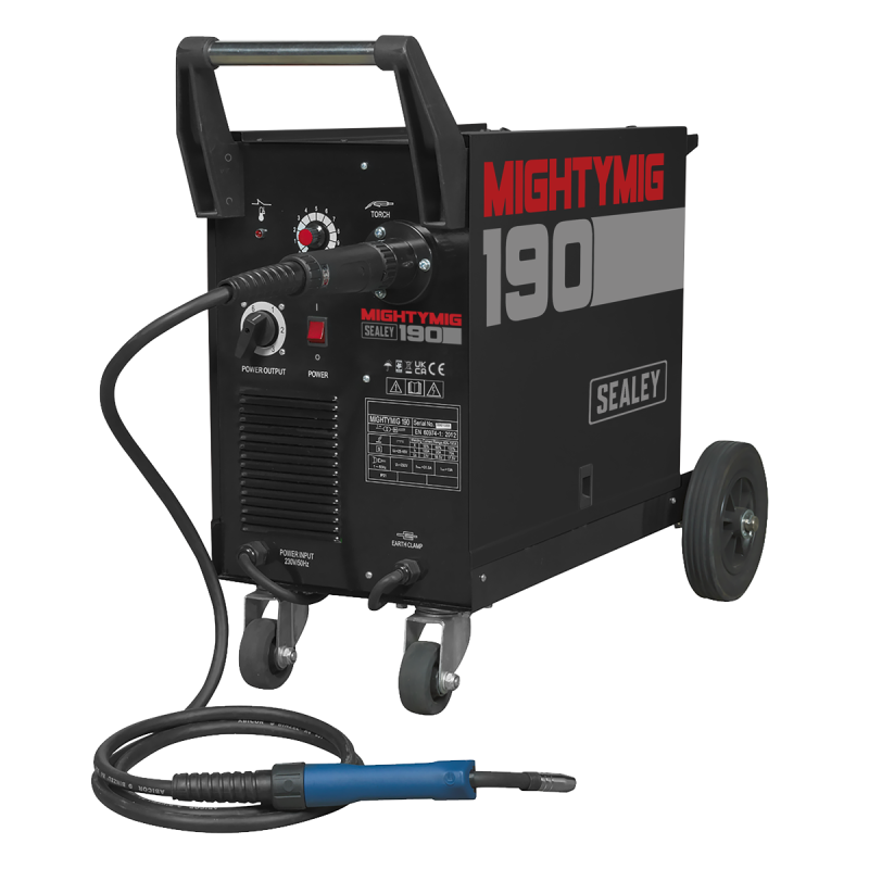 Professional Gas/Gasless MIG Welder with Euro Torch 190A