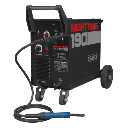 Professional Gas/Gasless MIG Welder with Euro Torch 190A