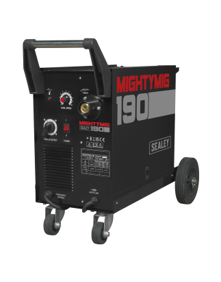 Professional Gas/Gasless MIG Welder with Euro Torch 190A