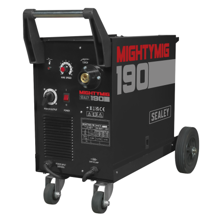 Professional Gas/Gasless MIG Welder with Euro Torch 190A