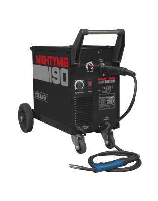 Professional Gas/Gasless MIG Welder with Euro Torch 190A