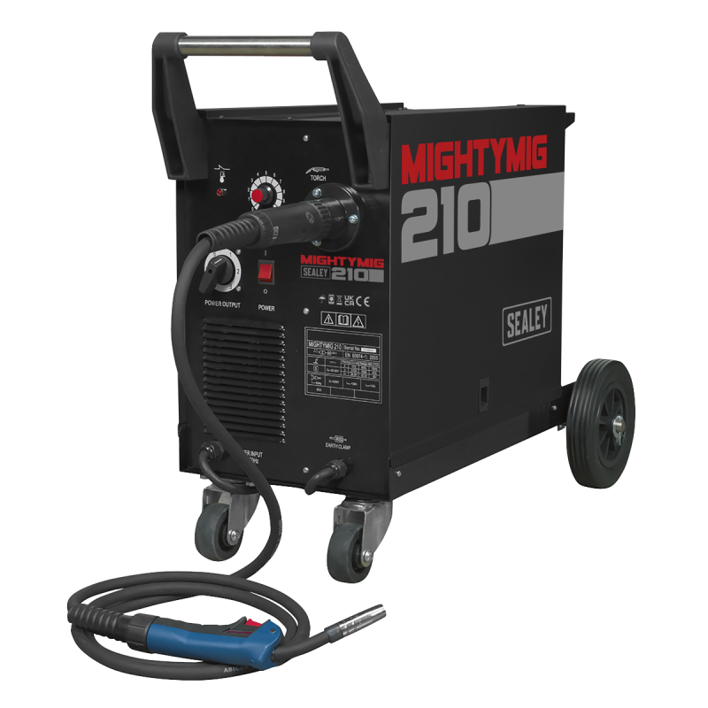 Professional Gas/Gasless MIG Welder with Euro Torch 210A