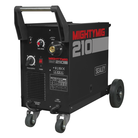 Professional Gas/Gasless MIG Welder with Euro Torch 210A