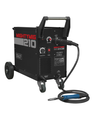 Professional Gas/Gasless MIG Welder with Euro Torch 210A