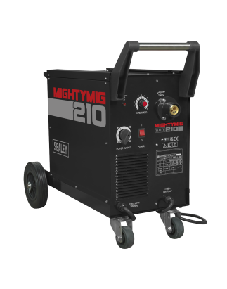 Professional Gas/Gasless MIG Welder with Euro Torch 210A