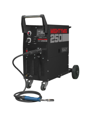 Professional Gas/Gasless MIG Welder with Euro Torch 250A