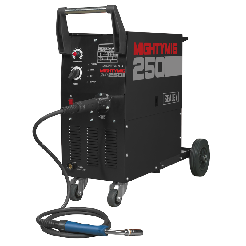 Professional Gas/Gasless MIG Welder with Euro Torch 250A