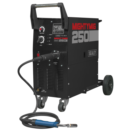 Professional Gas/Gasless MIG Welder with Euro Torch 250A