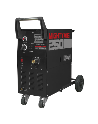 Professional Gas/Gasless MIG Welder with Euro Torch 250A