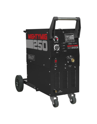 Professional Gas/Gasless MIG Welder with Euro Torch 250A