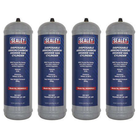 Disposable Argon/Carbon Dioxide Gas Cylinder 430g, 2.2L - Pack of 4