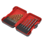 HSS/Masonry Drill Bit Set 17pc