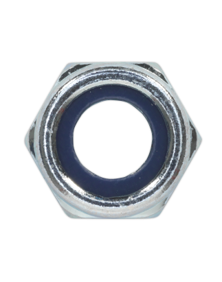 Nylon Locknut M10 Zinc Pack of 100