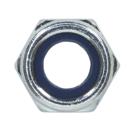 Nylon Locknut M10 Zinc Pack of 100