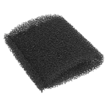 Foam Filter for PC195SD - Pack of 10