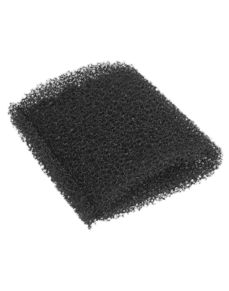 Foam Filter for PC20SD20V Pack of 10