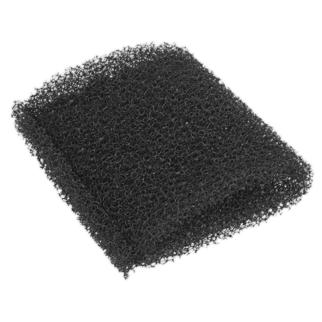 Foam Filter for PC20SD20V Pack of 10