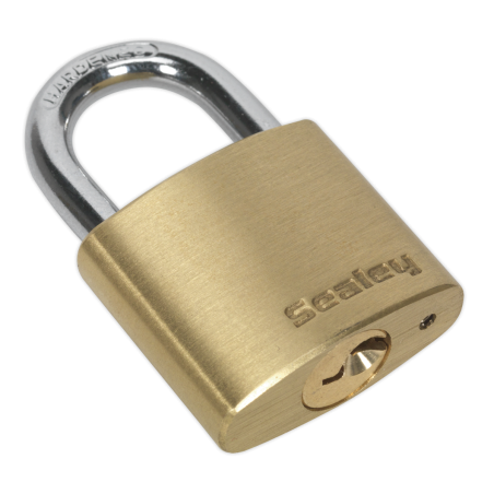 Brass Body Padlock 30mm