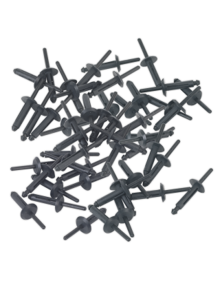 Plastic Rivet Ø6.3 x 25.2mm Pack of 50