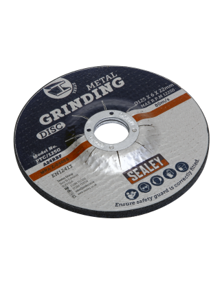 Grinding Disc Ø125 x 6mm Ø22mm Bore