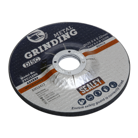 Grinding Disc Ø125 x 6mm Ø22mm Bore