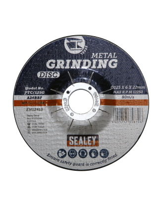 Grinding Disc Ø125 x 6mm Ø22mm Bore