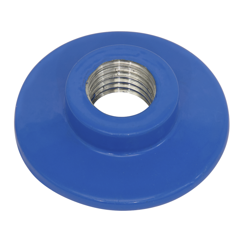 Lock Nut for PTC/BP3 Backing Pad M10 x 1.25mm