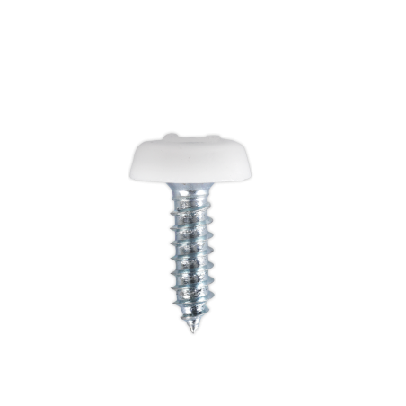 Numberplate Screw Plastic Enclosed Head 4.8 x 18mm White Pack of 50