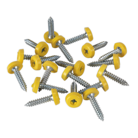 Numberplate Screw Plastic Enclosed Head 4.8 x 24mm Yellow Pack of 50