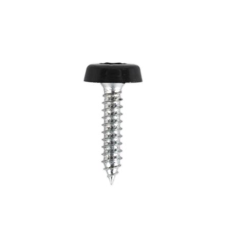 Numberplate Screw Plastic Enclosed Head 4.8 x 24mm Black Pack of 50