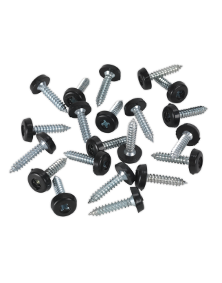 Numberplate Screw Plastic Enclosed Head 4.8 x 24mm Black Pack of 50