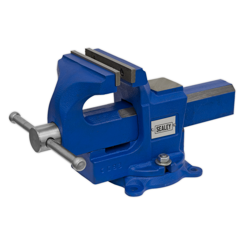 Quick Action SG Iron Vice with Swivel Base 100mm