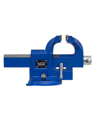 Quick Action SG Iron Vice with Swivel Base 100mm