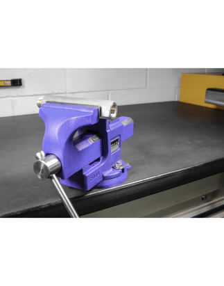 Quick Action SG Iron Vice with Swivel Base 100mm