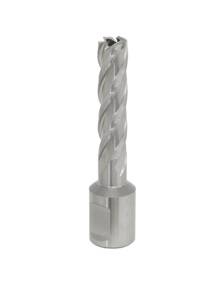 Mag Drill Bit HSS Ø12mm - Cut Depth 50mm