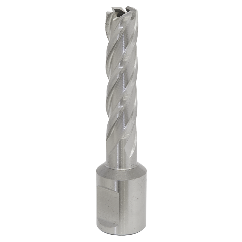 Mag Drill Bit HSS Ø12mm - Cut Depth 50mm